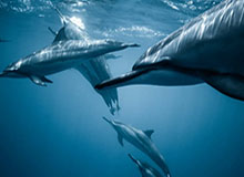 开云官网：用体验驱动信任，用细节打动人心